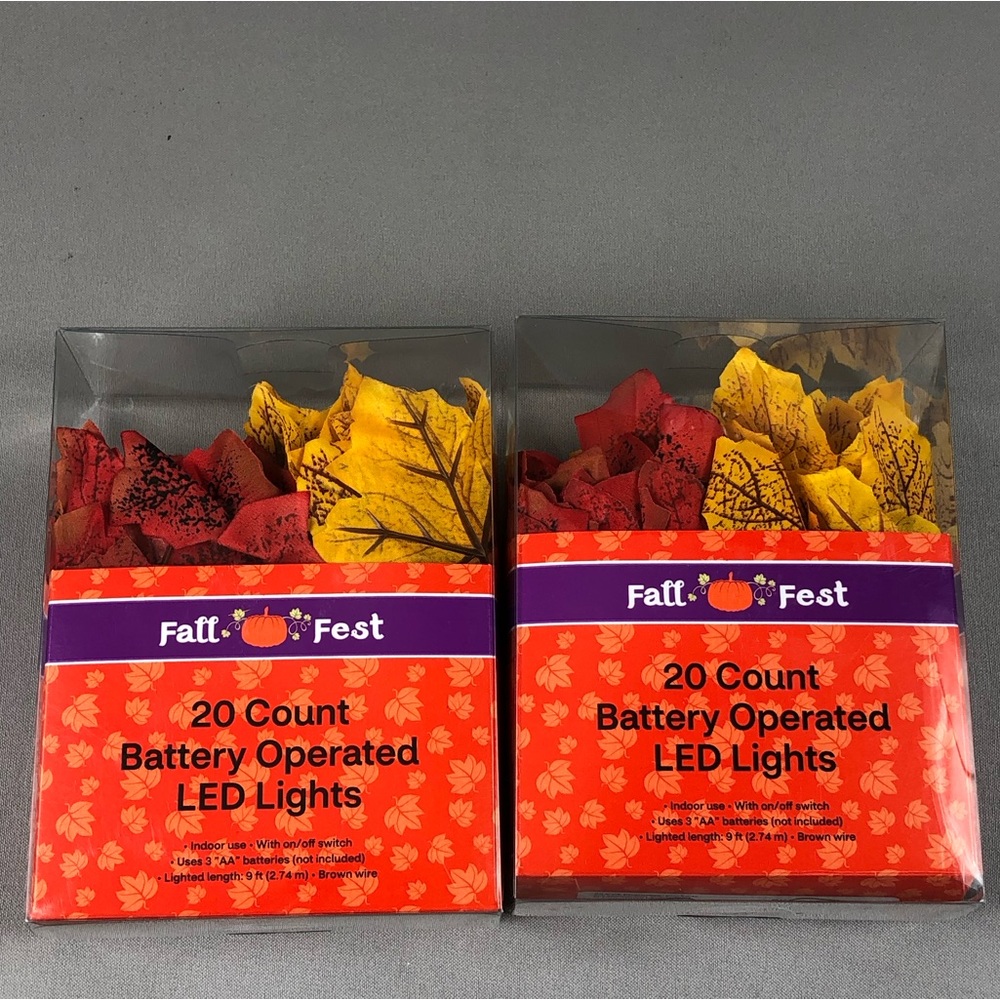 Fall Fest 20 Count Battery Operated LED Lights 2pck